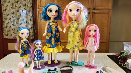 24 Rainbow High Dolls with others  2025-06-10